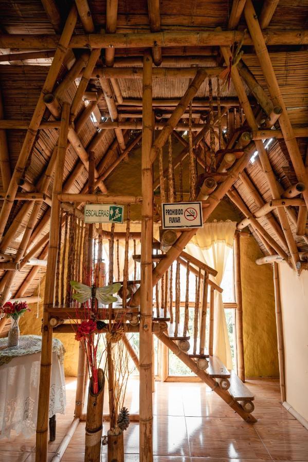 Chalet Ecoturismo La Nohelia جيريكو المظهر الخارجي الصورة