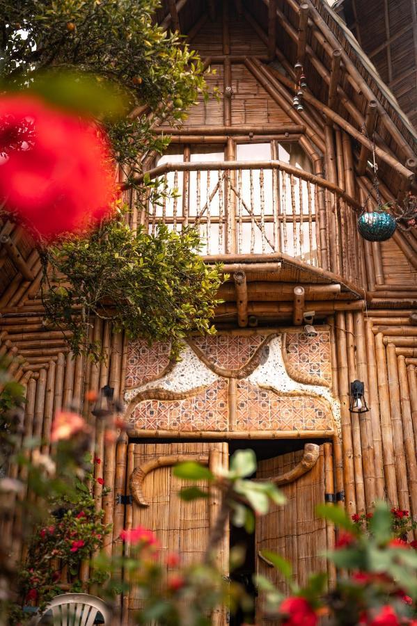 Chalet Ecoturismo La Nohelia جيريكو المظهر الخارجي الصورة