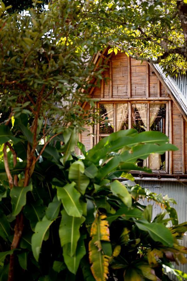 Chalet Ecoturismo La Nohelia جيريكو المظهر الخارجي الصورة