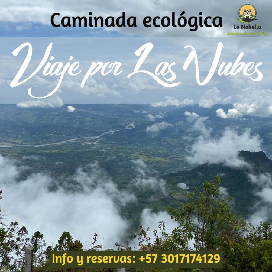 Chalet Ecoturismo La Nohelia جيريكو المظهر الخارجي الصورة