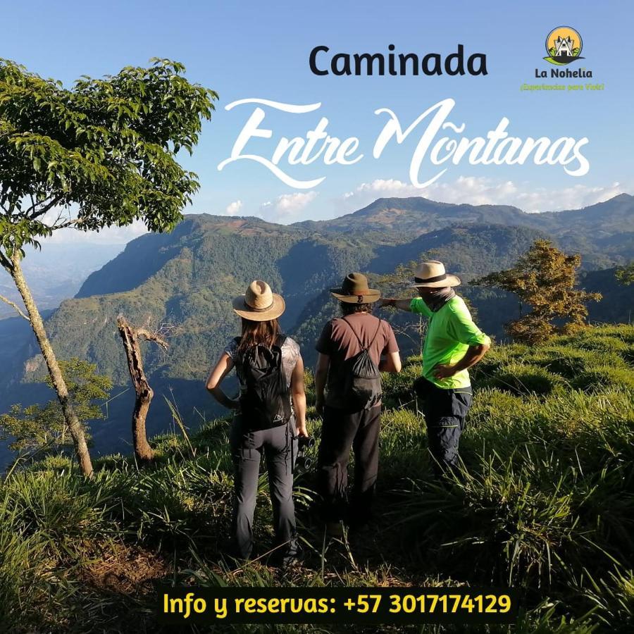 Chalet Ecoturismo La Nohelia جيريكو المظهر الخارجي الصورة