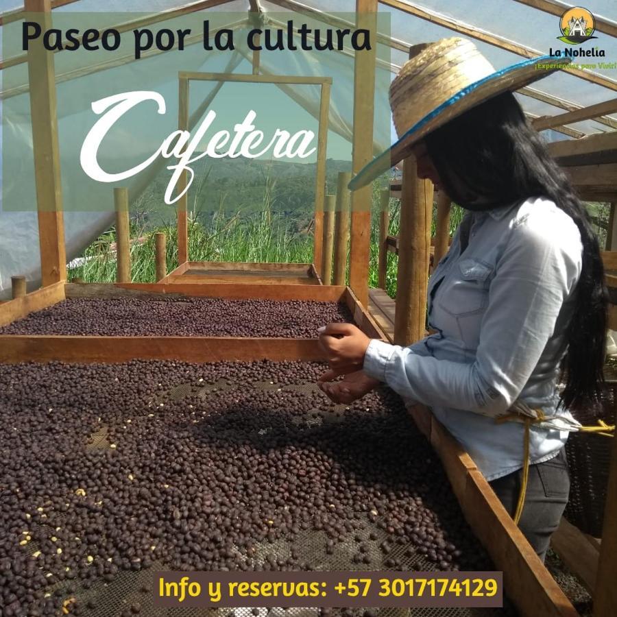 Chalet Ecoturismo La Nohelia جيريكو المظهر الخارجي الصورة
